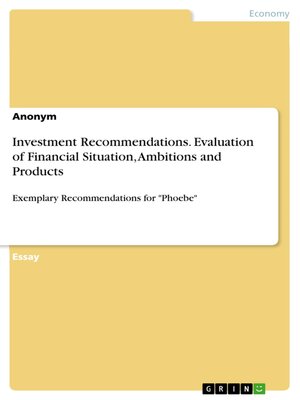cover image of Investment Recommendations. Evaluation of Financial Situation, Ambitions and Products